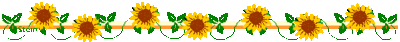 Sunflower line